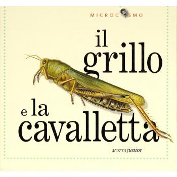 Il grillo e la cavalletta