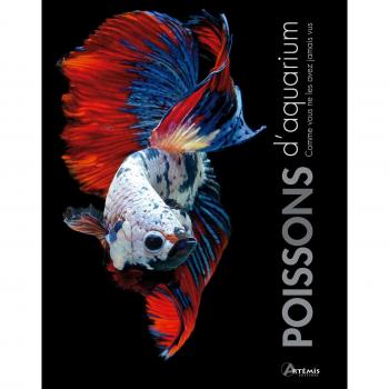 POISSONS D'AQUARIUM COMME VOUS NE LES AVEZ JAMAIS