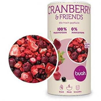 BUAH® gefriergetrocknete Früchte I Erdbeeren und Cranberries I 138g ohne Zucker