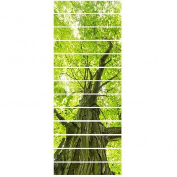 Papier Peint PVC 'Feuille Verte' – Grand