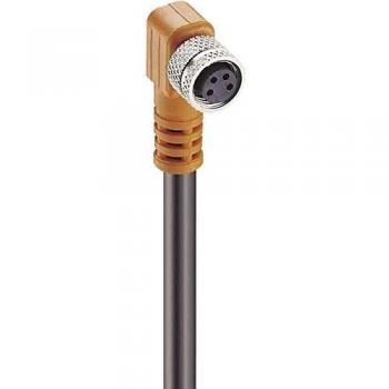 Belden Kupplung Elektronikkabel + Stecker –