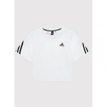 Pride HC4452 T-Shirt von Adidas in Schwarz, Regular Fit