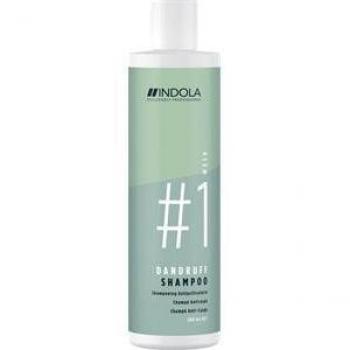 Indola Innova Color Leave-In Treatment 200 ml