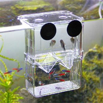 Aquarium Breeding Isolation Tank