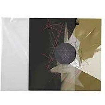 Pochette de protection vinyle 33T PEV 100