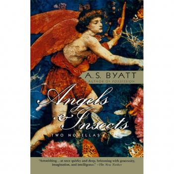 Angels & Insects