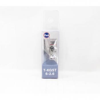 Guida Top Fuji T-KGST Titanio SIC Taglia 6-2.6C