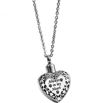 Lazo Conmemorativo Ti-Pet 4C