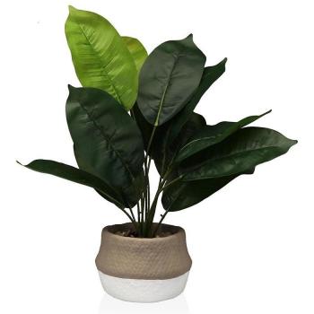Transparent Decorative Plant Versa 15 x 43 x 15 cm Plastic Cement