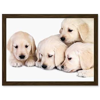 Puppy Golden Retriever Wall Decor – A4