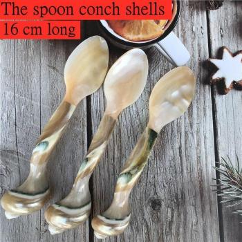 Sweet Ice Cream Shell Spoon Set
