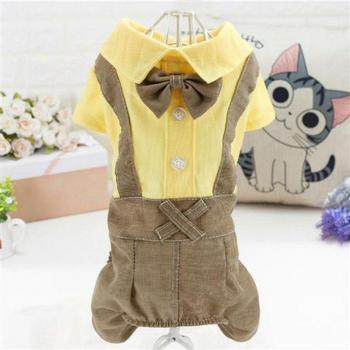 Outfit de Moda “Osito” para Chihuahuas y Pomeranians