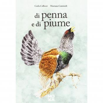 Di penna e di piume