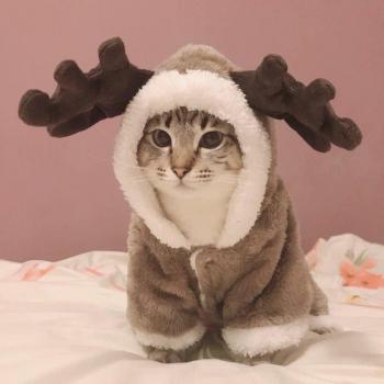 Ropa Ternura de Invierno para Mascotas