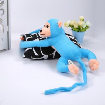 Fleur de Nuit 60 cm – Chaton Banane Couleur Bleue