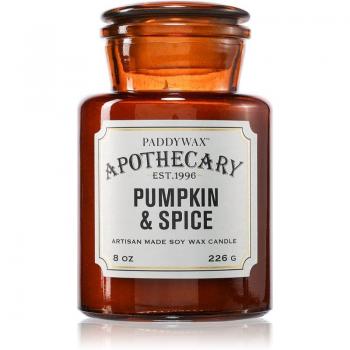 Apothecary Pumpkin Spice Candle 226g by Paddywax
