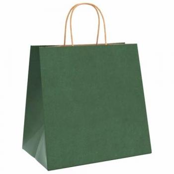 Sacchetti Carta Verde 50p – VidaXL, 26x17x25 cm