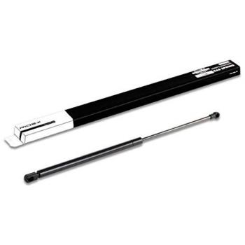 RIDEX Vérin de coffre pour FIAT Panda (169) et Panda Schrägheck (312_, 319_)