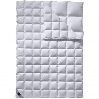 Billerbeck NENA® Duett Daunendecke – 155 × 220 cm, vier Jahreszeiten, zusammenknöpfbar