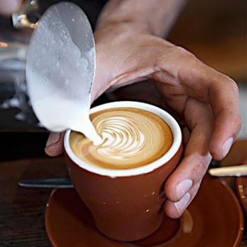 Spremi schiuma di latte in acciaio inossidabile, capacità 350 ml