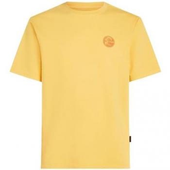 Camiseta O'Neill O'riginals Naranja Pastel