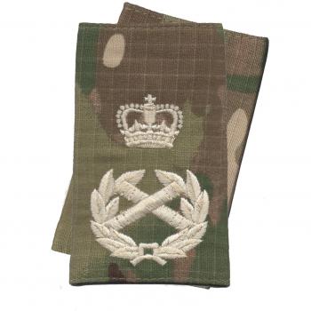 CL Distribution Ivory Multicam MTP Field Marshall Rank Slides