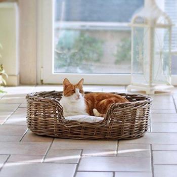 Pet Pal Petite Lounge