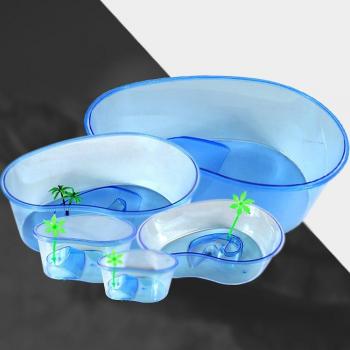 Transparent Turtle Tank