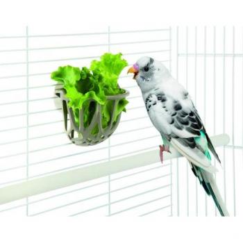 Imac Portaverdura para Aves, 8.3x3.5x6.5 cm, Colores Variados
