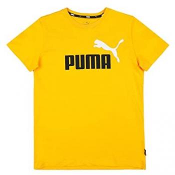 Puma Essentials+ Sport T-Shirt kurzarm Orange