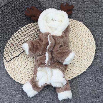 Tenue de Festival pour animaux de compagnie