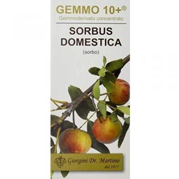 SORBO 10+ Bourgeon de Cormier 100ml Extrait Sec Liquide sans Alcool