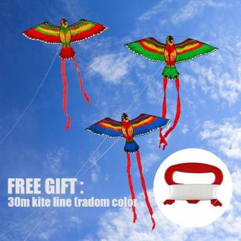 Kid’s Rainbow Parrot Flyer