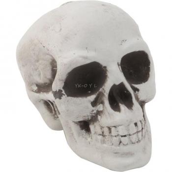 Skeleton Head Prop