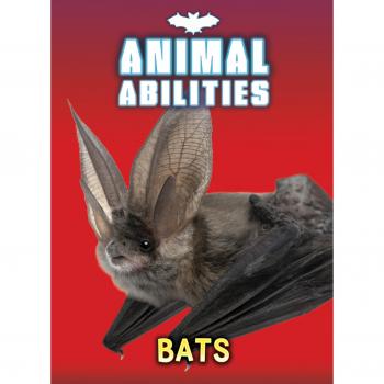 Bats Paperback Charlotte Guillain