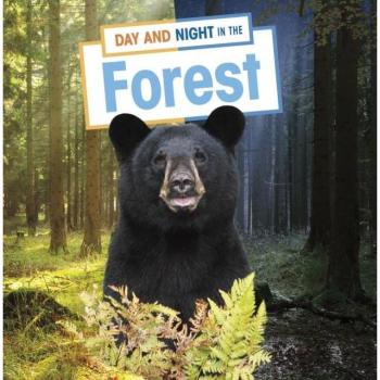Day and Night in the Forest by Ellen Labrecque
