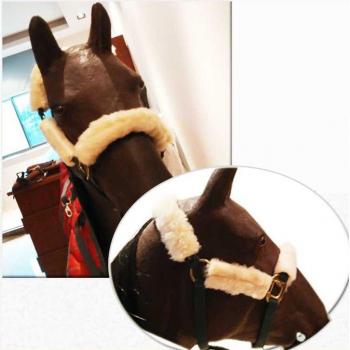 Accessoires polaires pour chevaux