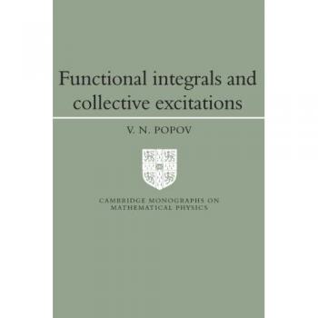 Functional Integrals and Collective Excitations (Cambridge Monographs on Mathematical Physics)