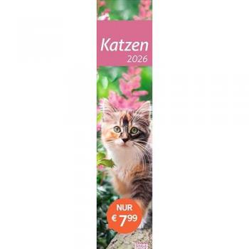 times&more Katzen Langplaner 2026