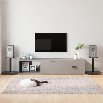 VidaXL 2 pcs Speaker Stands