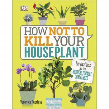 How Not to Kill Your Houseplant: Survival Tips for the Horticulturally Challeng