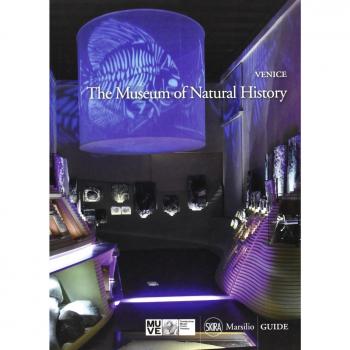 Venice. The museum of natural history