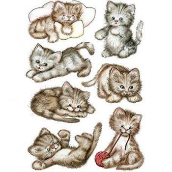 Herma Adesivi per Amanti dei Gatti