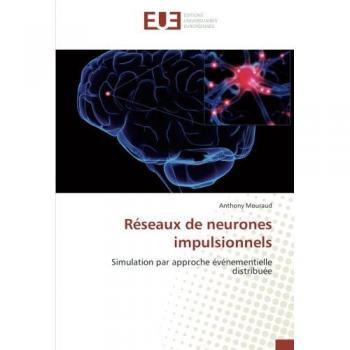 Mouraud, Anthony: Réseaux de neurones impulsionnels