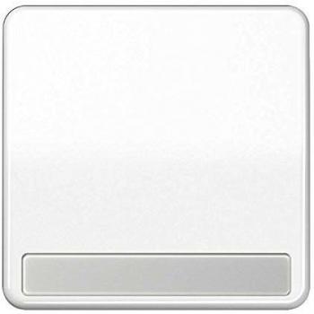 Jung Wippe Schriftfeld aws für Taster CD 590 NA WW