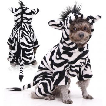 Vêtements d'hiver pour chien moyen