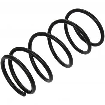 Lesjöfors 4288910 Steel Coil Spring