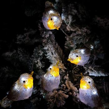 5 Acrylic Indoor & Outdoor Robin Christmas Lights with 30 Ice White LEDs