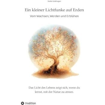 Ein kleiner Lichtfunke auf Erden, Belletristik von Stella Goldregen