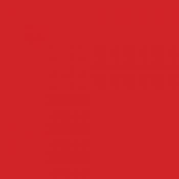 Daler-Rowney System 3 500ml Vermilion Hue